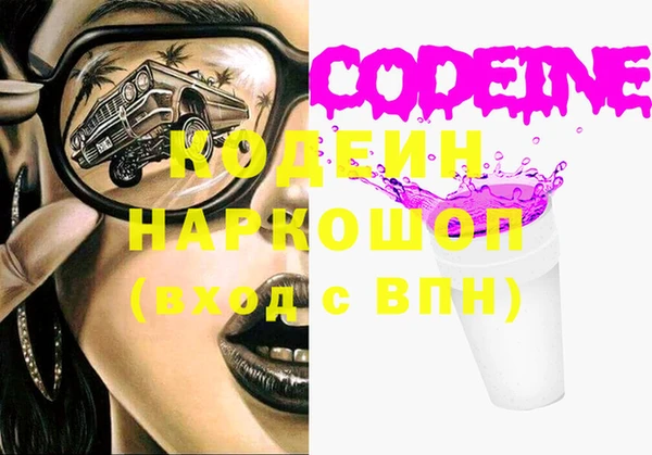 прущий лед Инсар