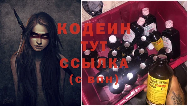 хмурый Бронницы