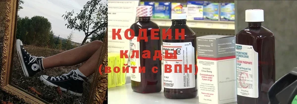 прущий лед Инсар