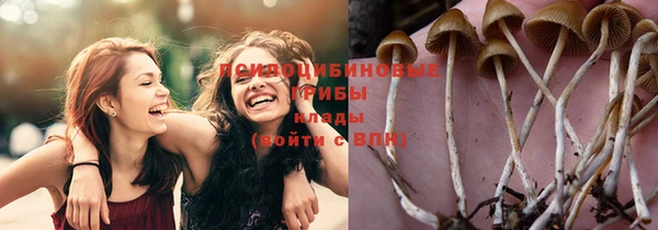 мяу мяу кристалл Снежногорск
